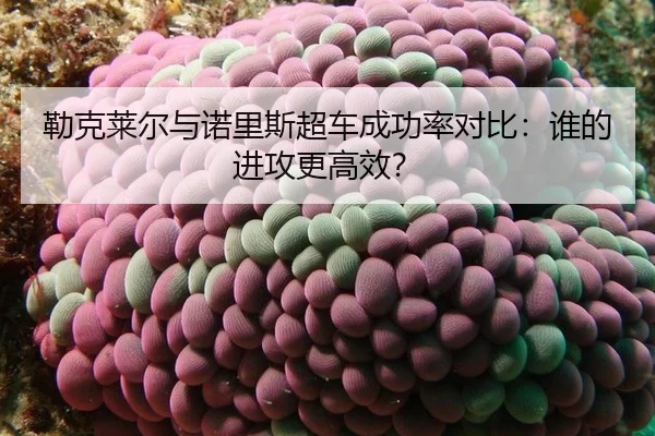 勒克莱尔与诺里斯超车成功率对比：谁的进攻更高效？
